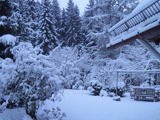 Winkhausen: Pension Walhalja, Garten Winter(Quelle:Pension Walhalja)